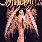 Il testo THEY ARE LIARS dei CHINCHILLA è presente anche nell'album Last millennium (2002)