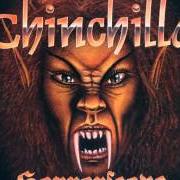 Il testo CRACK IN THE MIRROR dei CHINCHILLA è presente anche nell'album Horrorscope (1998)