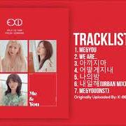 Il testo THE VIBE di EXID è presente anche nell'album We (2019)