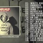 Il testo NEVER DIE di MADCHILD è presente anche nell'album Switched on (2014)
