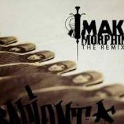 Il testo DEBASER IS (CHEDDY REMIX) di SAPIENT è presente anche nell'album Make morphine - the remixes (2009)