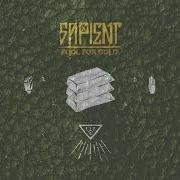 Il testo THE PUSH di SAPIENT è presente anche nell'album Fool for gold (2016)