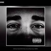 Il testo AIN'T LIKE YOU di PROBLEM è presente anche nell'album Selfish (2017)