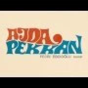 Fecri ebcioglu sunar