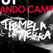 Il testo IMAGINA di EFECTO PASILLO è presente anche nell'album Tiembla la tierra (2015)