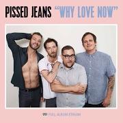 Il testo (WON'T TELL YOU) MY SIGN dei PISSED JEANS è presente anche nell'album Why love now (2017)
