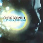 Il testo DISAPPEARING ONE di CHRIS CORNELL è presente anche nell'album Euphoria morning (1999)