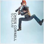 Il testo OTHER SIDE OF TOWN di CHRIS CORNELL è presente anche nell'album Scream (2008)