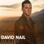 Il testo BROKE MY HEART di DAVID NAIL è presente anche nell'album I'm a fire (2014)