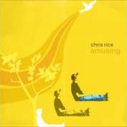 Il testo THE BEST SONG EVER di CHRIS RICE è presente anche nell'album Amusing (2006)