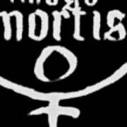 Il testo BRING OUT YOUR DEAD degli IMAGO MORTIS è presente anche nell'album Transcendental (2006)