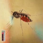 Dear bo jackson Dear bo jackson