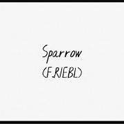 Il testo SPARROW dei THE CAT EMPIRE è presente anche nell'album Sparrow (2021)