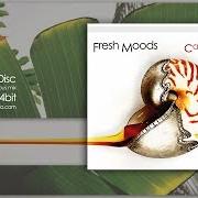 Il testo LA COTE di FRESH MOODS è presente anche nell'album Carbon islands (2013)