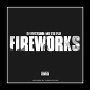 Il testo HIT IT FROM THE BACK di TEEFLII è presente anche nell'album Fireworks (2013)