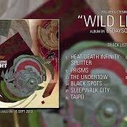 Il testo THE UNDERTOW di 65DAYSOFSTATIC è presente anche nell'album Wild light (2013)