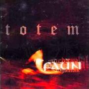 Il testo 2 FALKEN di FAUN è presente anche nell'album Totem (2007)