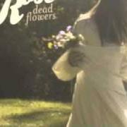 Il testo GORILLA MAN di CAITLIN ROSE è presente anche nell'album Dead flowers (2010)