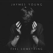 Il testo WE WON'T di JAYMES YOUNG è presente anche nell'album Feel something (2017)