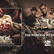 Il testo MIDDLE FINGER TO THE WORLD di UPON A BURNING BODY è presente anche nell'album The world is my enemy now (2014)