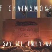 Il testo I WON'T KILL YA dei THE CHAINSMOKERS è presente anche nell'album Memories do not open (2017)