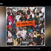 Il testo RIO FLOW di PEEZY è presente anche nell'album Free rio (2021)