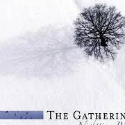 Il testo THE EARTH IS MY WITNESS di THE GATHERING è presente anche nell'album Nighttime birds (1997)