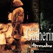 Il testo ADRENALINE di THE GATHERING è presente anche nell'album Adrenaline / leaves (1996)