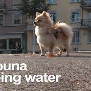 Being water