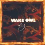 Il testo UNTITLED di WAKE OWL è presente anche nell'album The private world of paradise (2014)