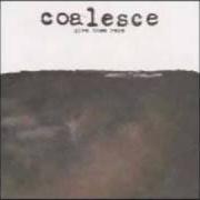 Il testo CHAIN SMOKING dei COALESCE è presente anche nell'album Give them rope (2000)