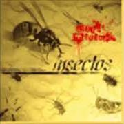 Il testo CRISTALES ROTOS di BAJO MÍNIMOS è presente anche nell'album Insectos (2004)