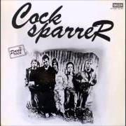Il testo TROUBLE ON THE TERRACES dei COCK SPARRER è presente anche nell'album Cock sparrer (1978)