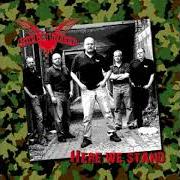 Il testo WILL YOU? dei COCK SPARRER è presente anche nell'album Here we stand