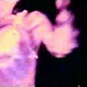 Il testo DUBSTAR BUGARSKJI di SHANTEL è presente anche nell'album Disko partizani (2007)