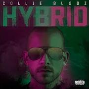 Il testo EVERYTHING BLESSED di COLLIE BUDDZ è presente anche nell'album Hybrid (2019)