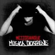 Il testo INTRO di MEZZOSANGUE è presente anche nell'album Musica cicatrene (2024)