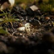 Il testo VISCERALE di MEZZOSANGUE è presente anche nell'album Viscerale (2025)