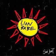 Sun joint