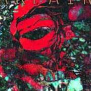 Il testo UNDERTOW delle WARPAINT è presente anche nell'album The fool (2010)