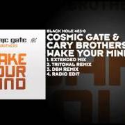 Il testo OVER THE RAINBOW di COSMIC GATE è presente anche nell'album Wake your mind (2011)