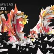 Il testo ZEITGEIST di KLAUDIA GAWLAS è presente anche nell'album Zeitgeist (2013)