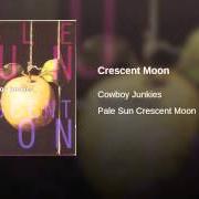 Il testo WHITE SAIL dei COWBOY JUNKIES è presente anche nell'album Pale sun, crescent moon (1993)