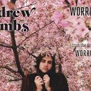Il testo HEAVY di ANDREW COMBS è presente anche nell'album Worried man (2012)