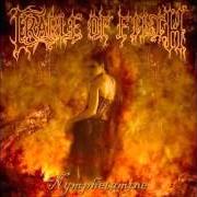 Il testo COFFIN FODDER dei CRADLE OF FILTH è presente anche nell'album Nymphetamine (2004)