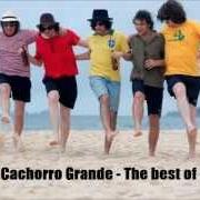 Il testo SEXPERIENCED di CACHORRO GRANDE è presente anche nell'album O melhor do cachorro grande (2005)