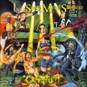 Il testo A DEVIL ON THE DRUMS dei CRANIUM è presente anche nell'album Speed metal slaughter (1998)