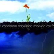 Il testo SMOKE ANOTHER dei CROSS CANADIAN RAGWEED è presente anche nell'album Mission california (2007)