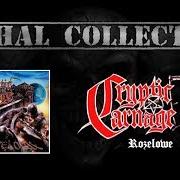 Il testo TIMEWARP dei CRYPTIC CARNAGE è presente anche nell'album Rozelowe (1998)