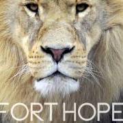 Il testo I'M ON FIRE di FORT HOPE è presente anche nell'album Courage (2014)